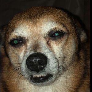 Meet your Posher, Kalynn